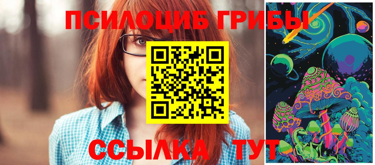 Галлюциногенные грибы Psilocybine cubensis  Псилоцибиновые грибы мухоморы  Чернушка  Вход с VPN 
